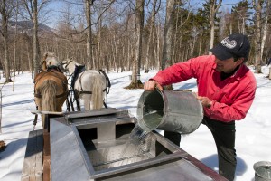 At the Trapp Family Lodge everything from the beef to the beer to the maple syrup is grown right on site. 
